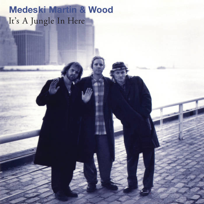 MEDESKI, MARTIN & WOOD - IT’S A JUNGLE IN HERE Vinyl LP