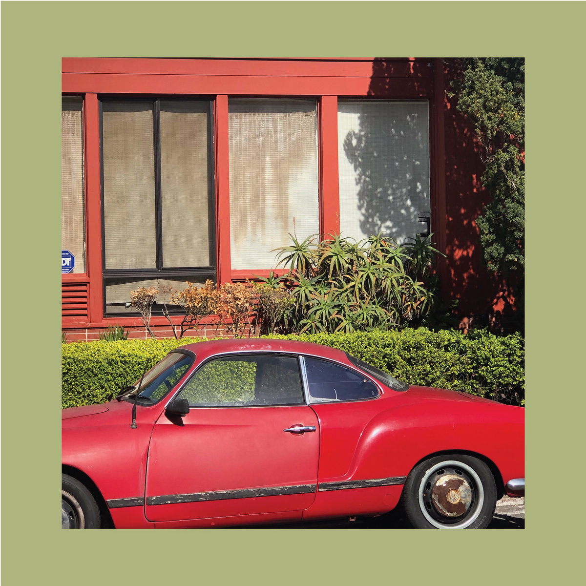 THE REDS, PINKS & PURPLES - THE TOWN THAT CURSED YOUR NAME