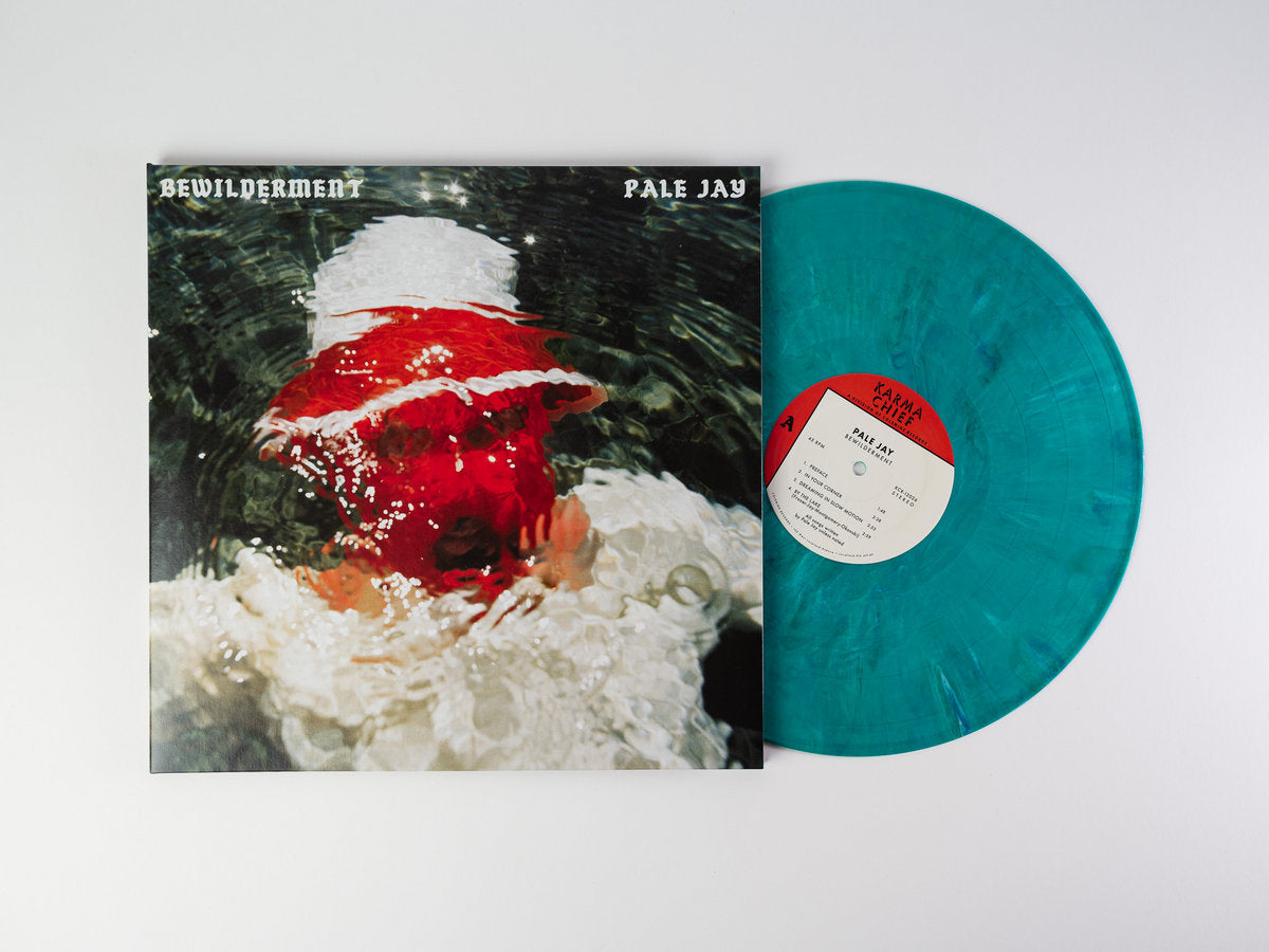 PALE JAY - BEWILDERMENT