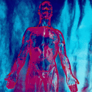 NIRVANA - SLIVER/DIVE