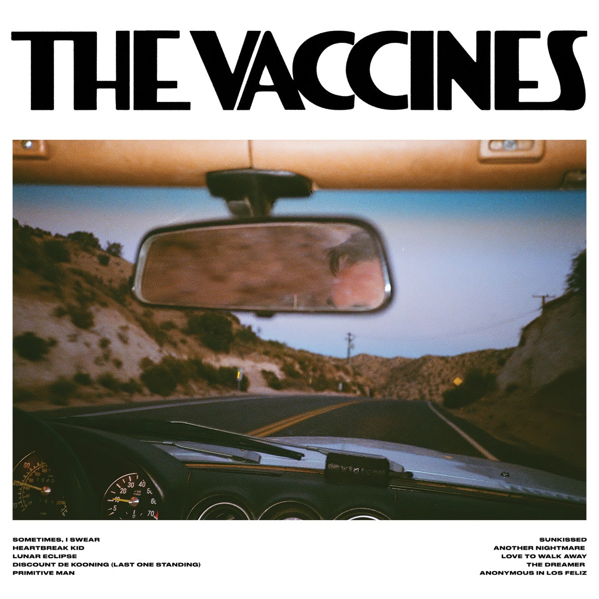 THE VACCINES - PICK-UP FULL OF PINK CARNATIONS Vinyl LP