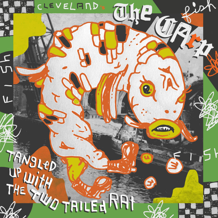 THE CARP - TANGLED UP WITH THE TWO TAILED RAT