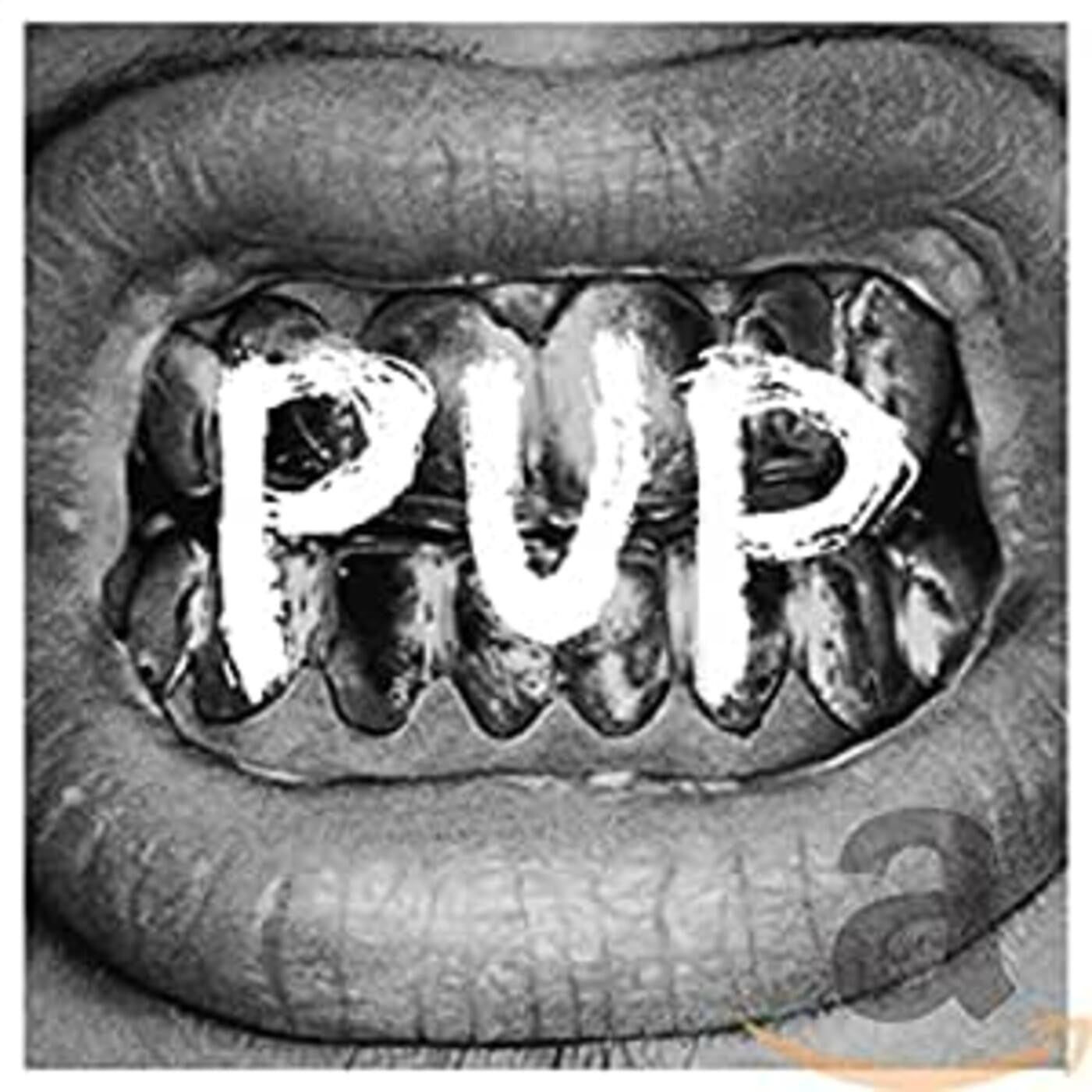 PUP - PUP Vinyl LP