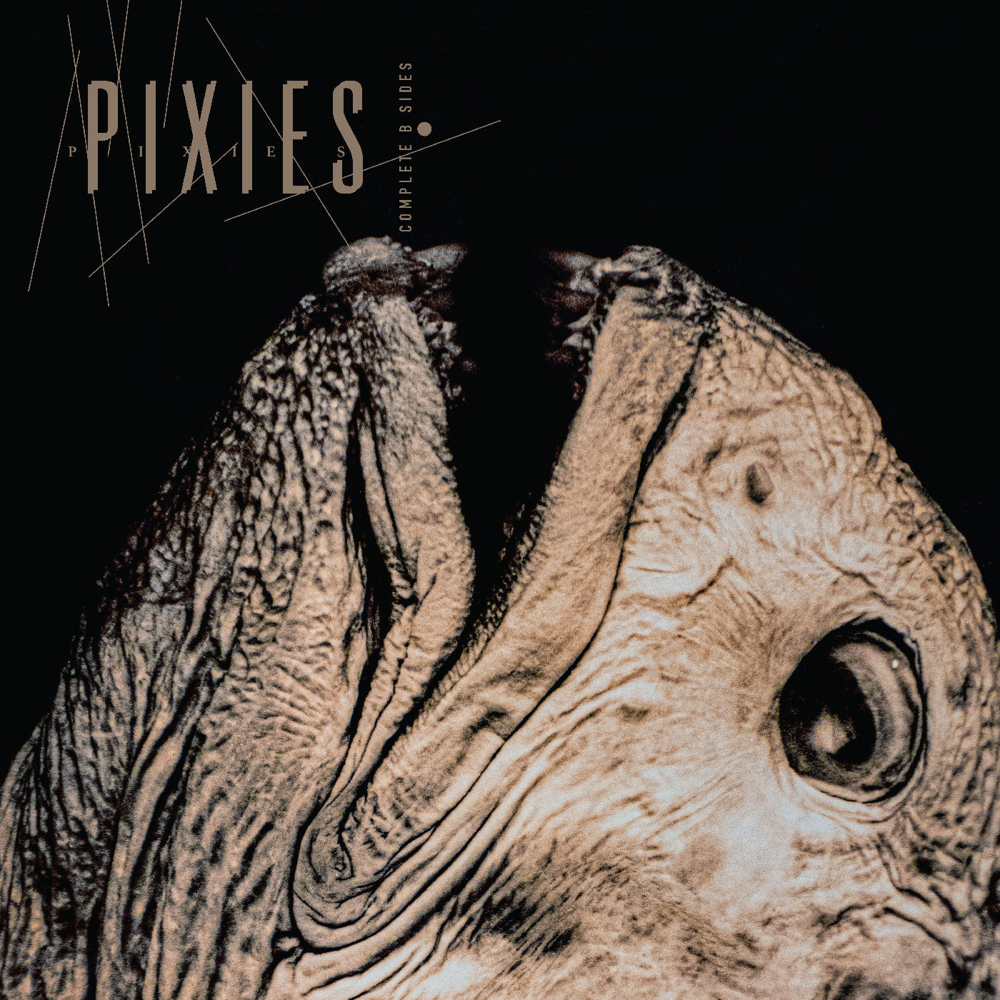 PIXIES - COMPLETE B SIDES 1988-97