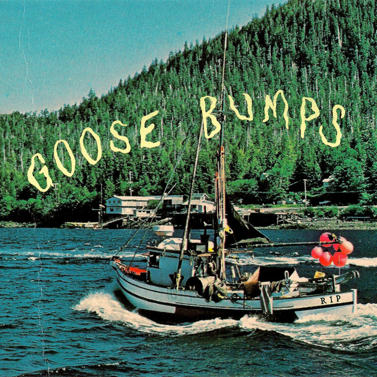 BOYSCOTT - GOOSE BUMPS