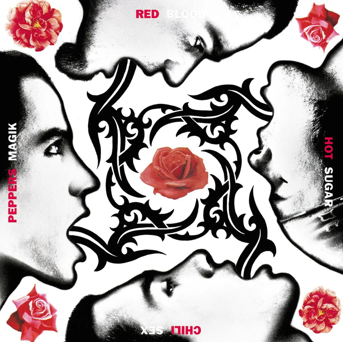 RED HOT CHILI PEPPERS - BLOOD SUGAR SEX MAGIK