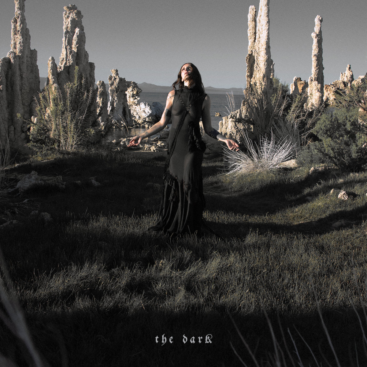 CHELSEA WOLFE - THE DARK