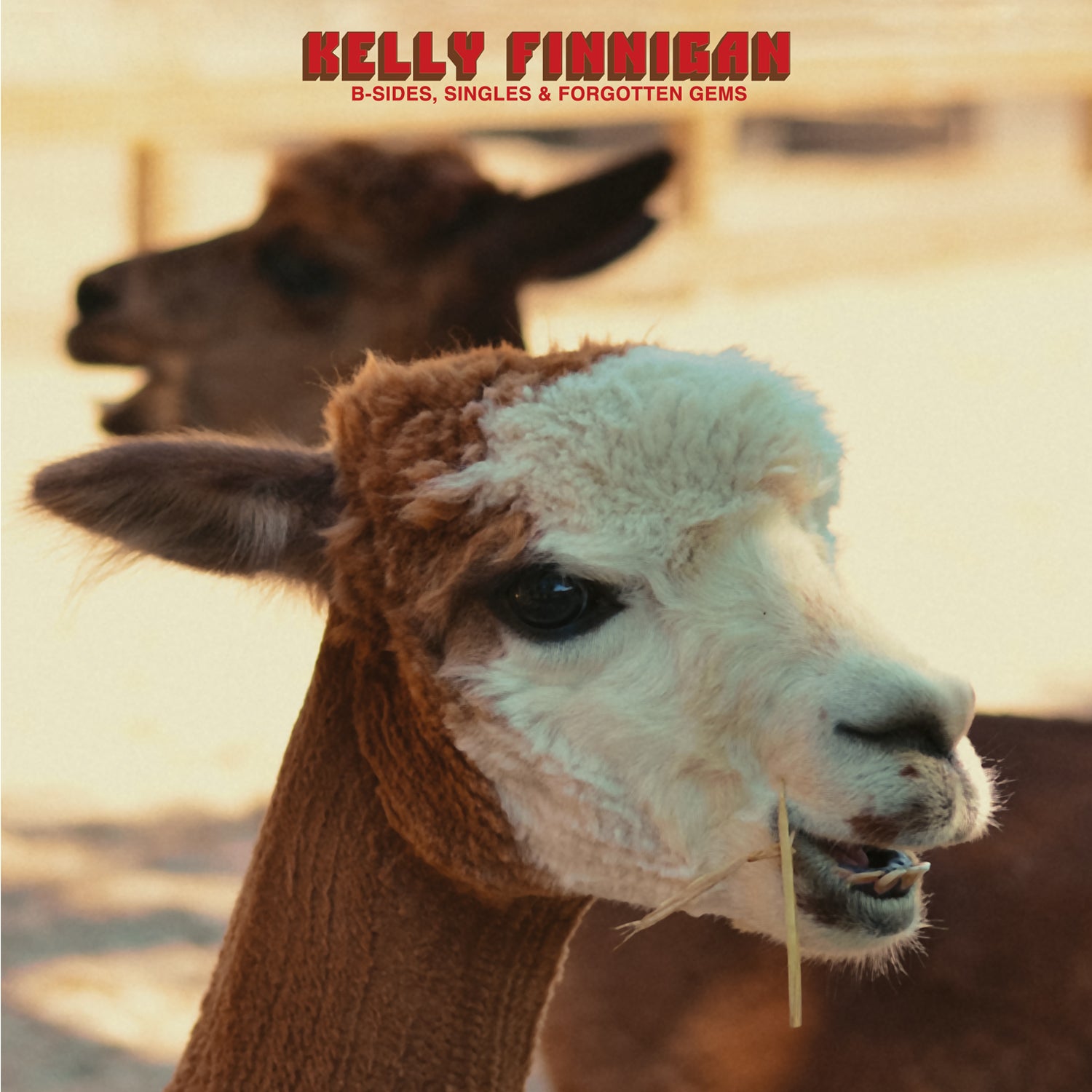 KELLY FINNIGAN - B-SIDES, SINGLES & FORGOTTEN GEMS
