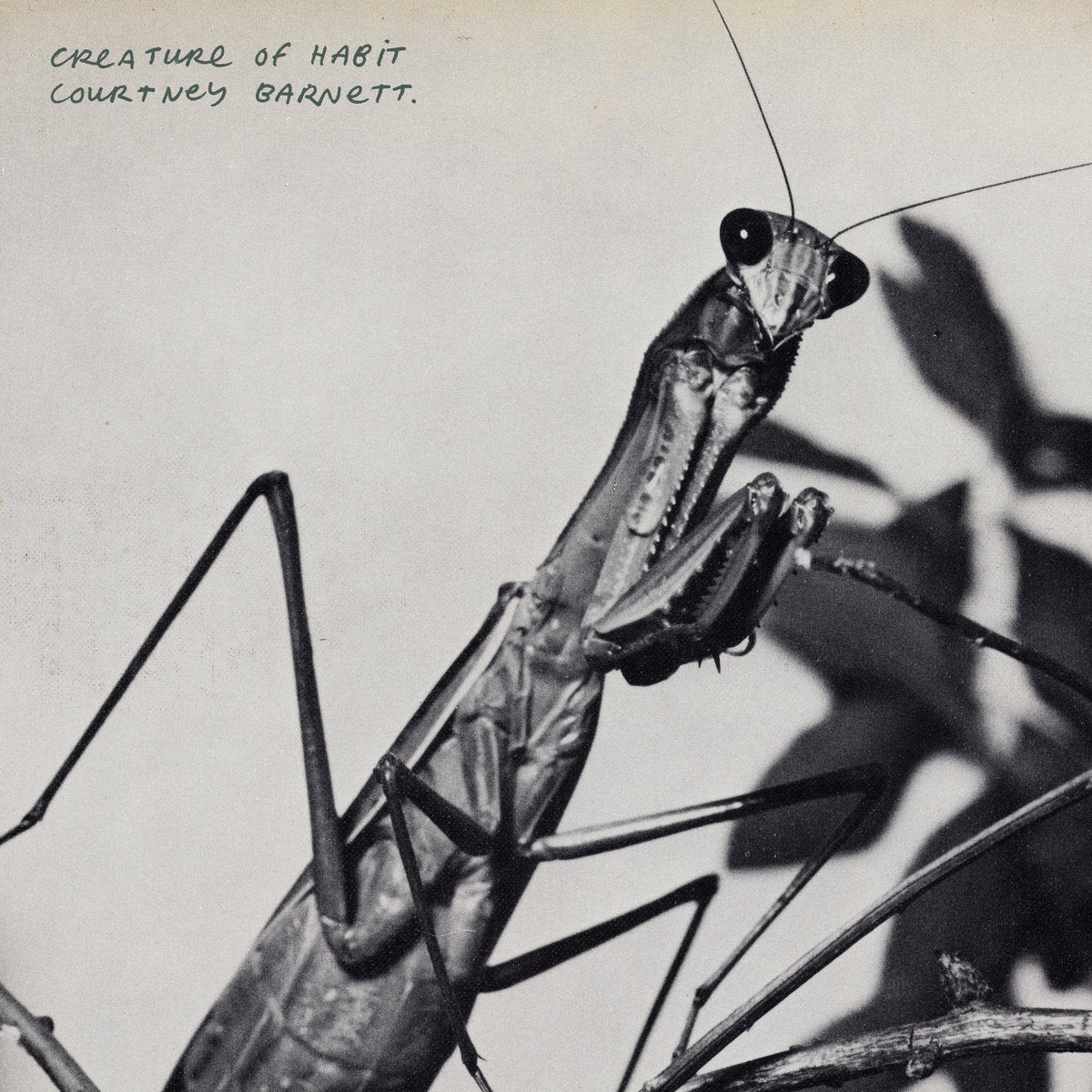 COURTNEY BARNETT - CREATURE OF HABIT