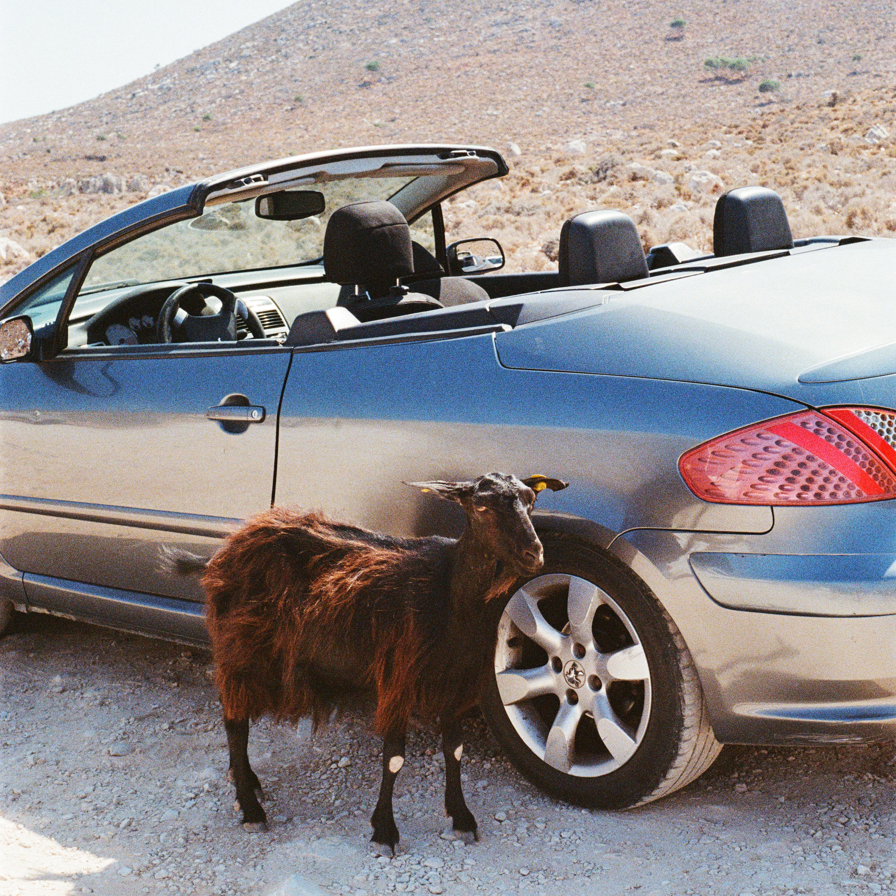 EXEK - PROVE THE MOUNTAINS MOVE