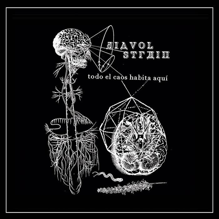 DIAVOL STAIN - TODO EL CAOS HABITA AQUI Vinyl LP