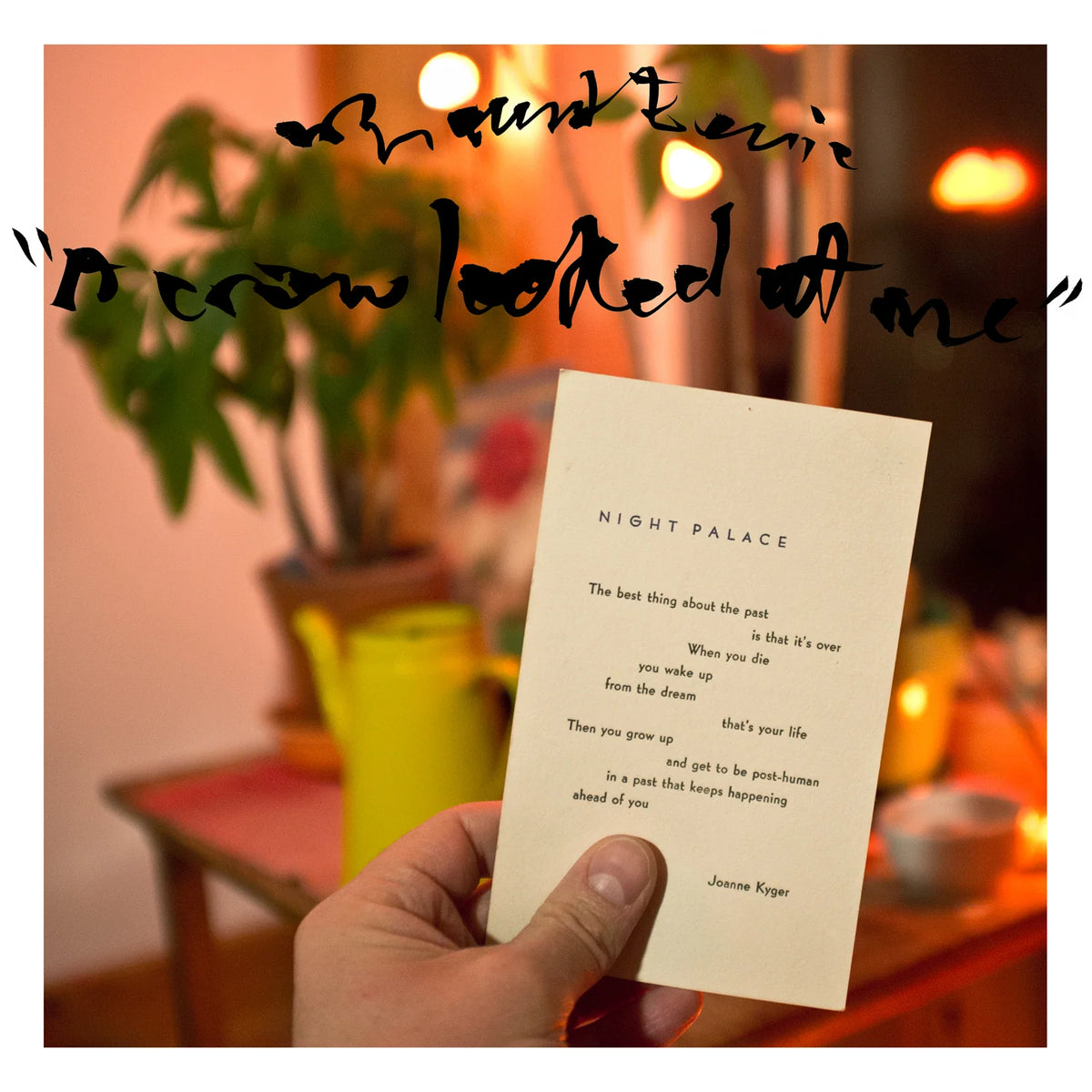 MOUNT EERIE - A CROW LOOKED AT ME