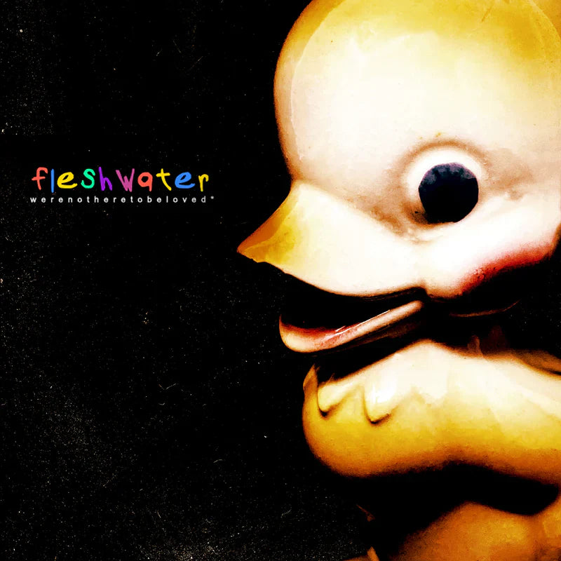 FLESHWATER - WE'RE NOT HERE TO BE LOVED