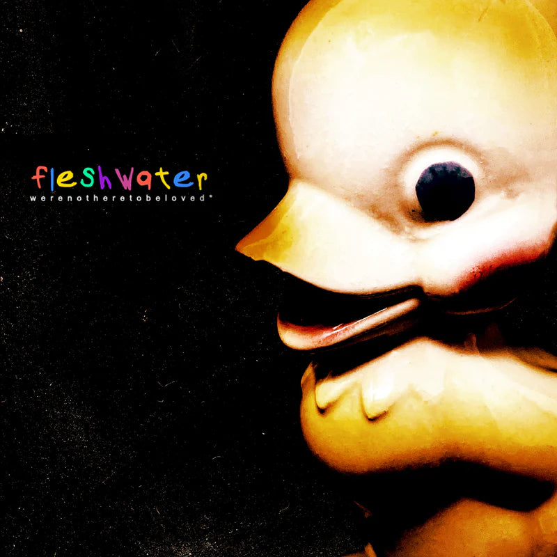 FLESHWATER - WE'RE NOT HERE TO BE LOVED Vinyl LP