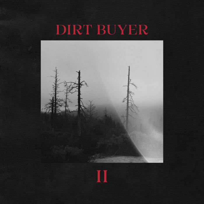 DIRT BUYER - DIRT BUYER II Vinyl LP