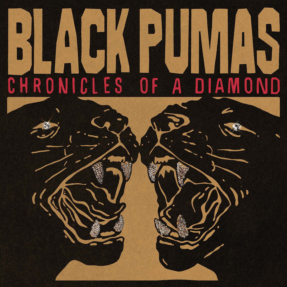 BLACK PUMAS - CHRONICLES OF A DIAMOND Vinyl LP