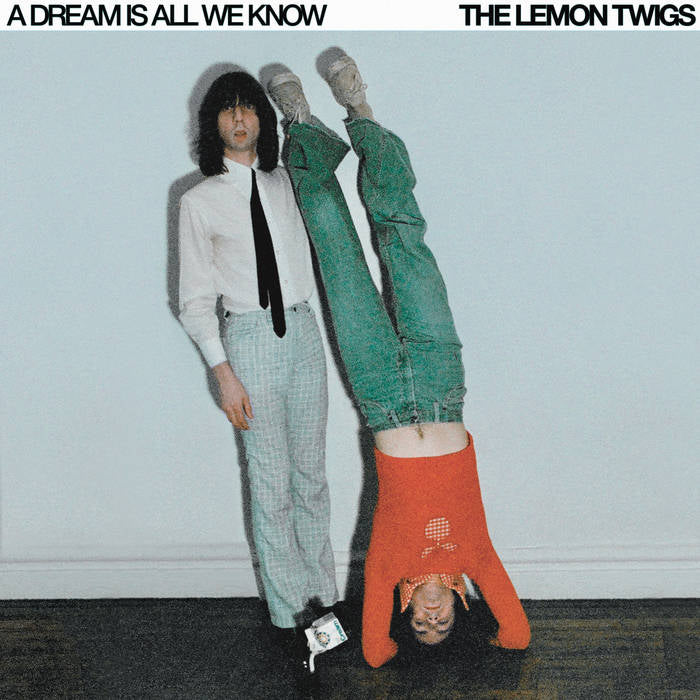 THE LEMON TWIGS - A DREAM IS ALL WE KNOW Vinyl LP