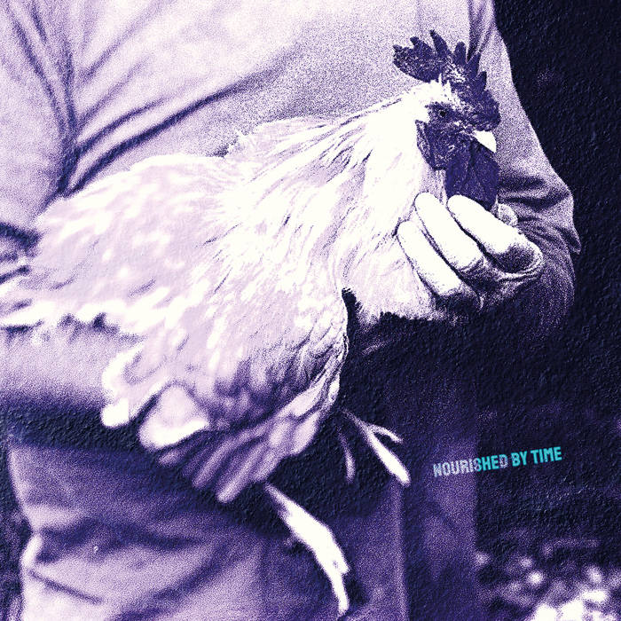 NOURISHED BY TIME - CATCHING CHICKENS Vinyl 12”