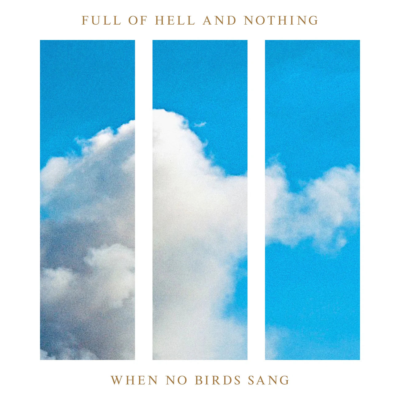 FULL OF HELL & NOTHING - WHEN NO BIRDS SING Vinyl LP