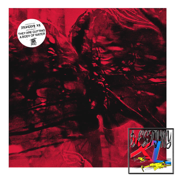 THEY ARE GUTTING A BODY OF WATER - DESTINY XL