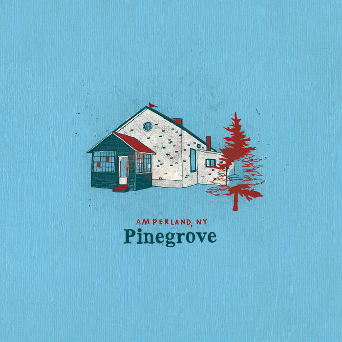 PINEGROVE - AMPERLAND, NY