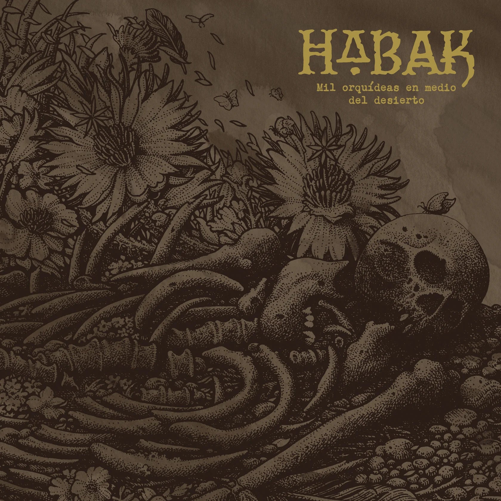 HABAK - MIL ORQUÍDEAS EN MEDIO DEL DESIERTO