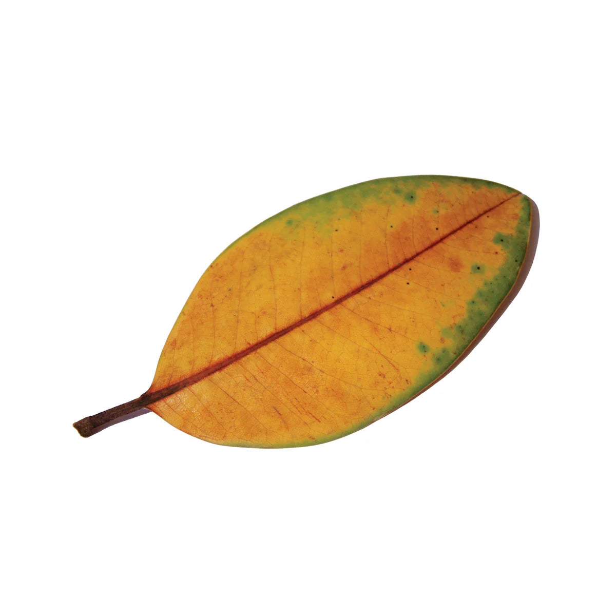 LA QUIETE - LA FINE NON È LA FINE