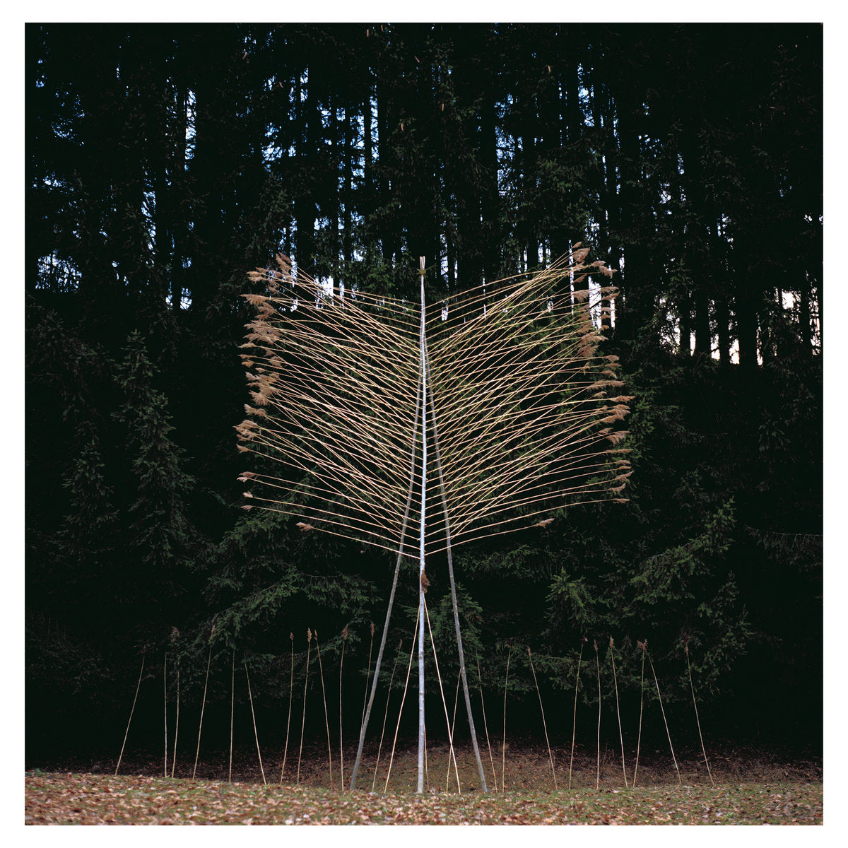 INTERIOR / NILS-UDO - SCULPTURE OF TIME (APOCALYPSE)