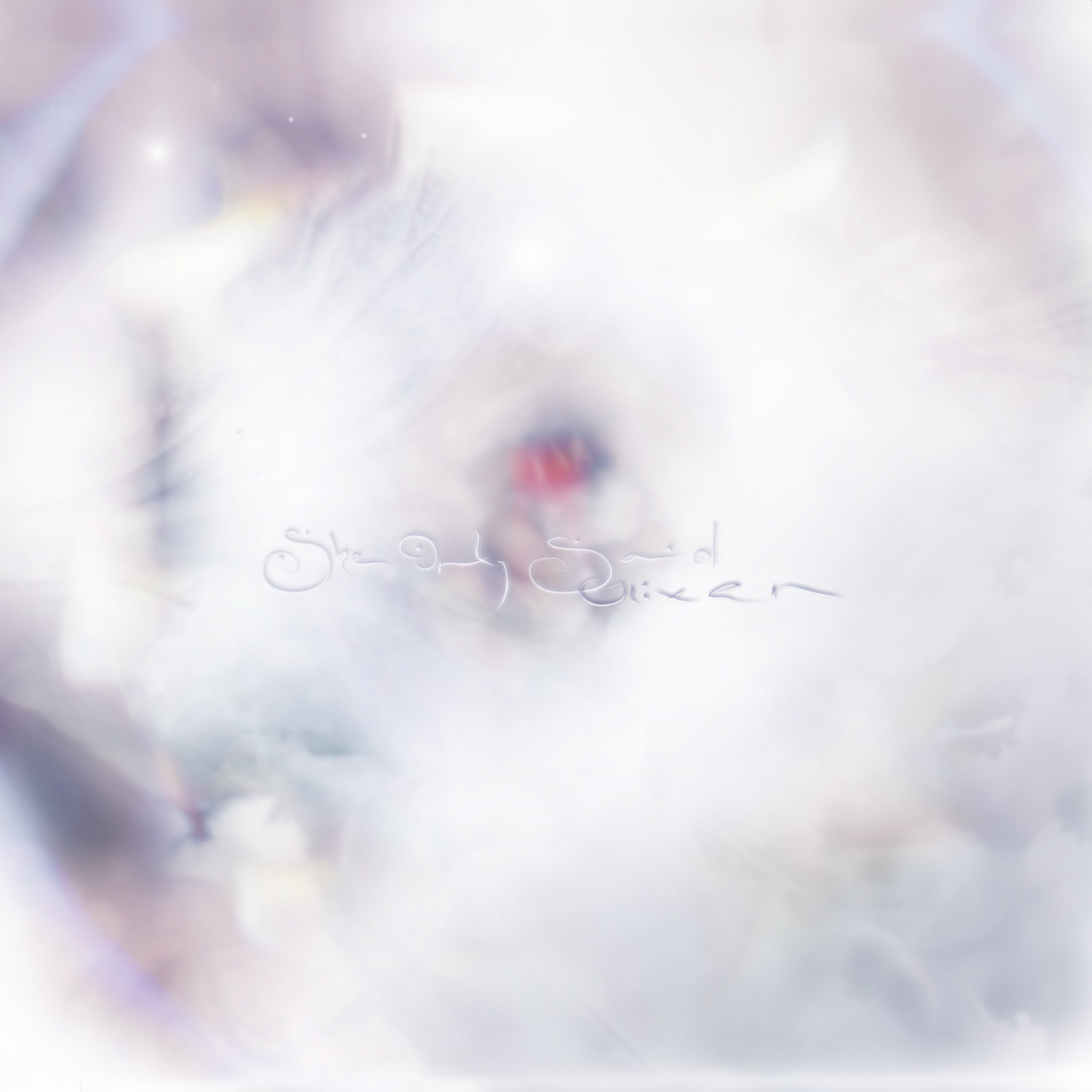 GLIXEN - SHE ONLY SAID