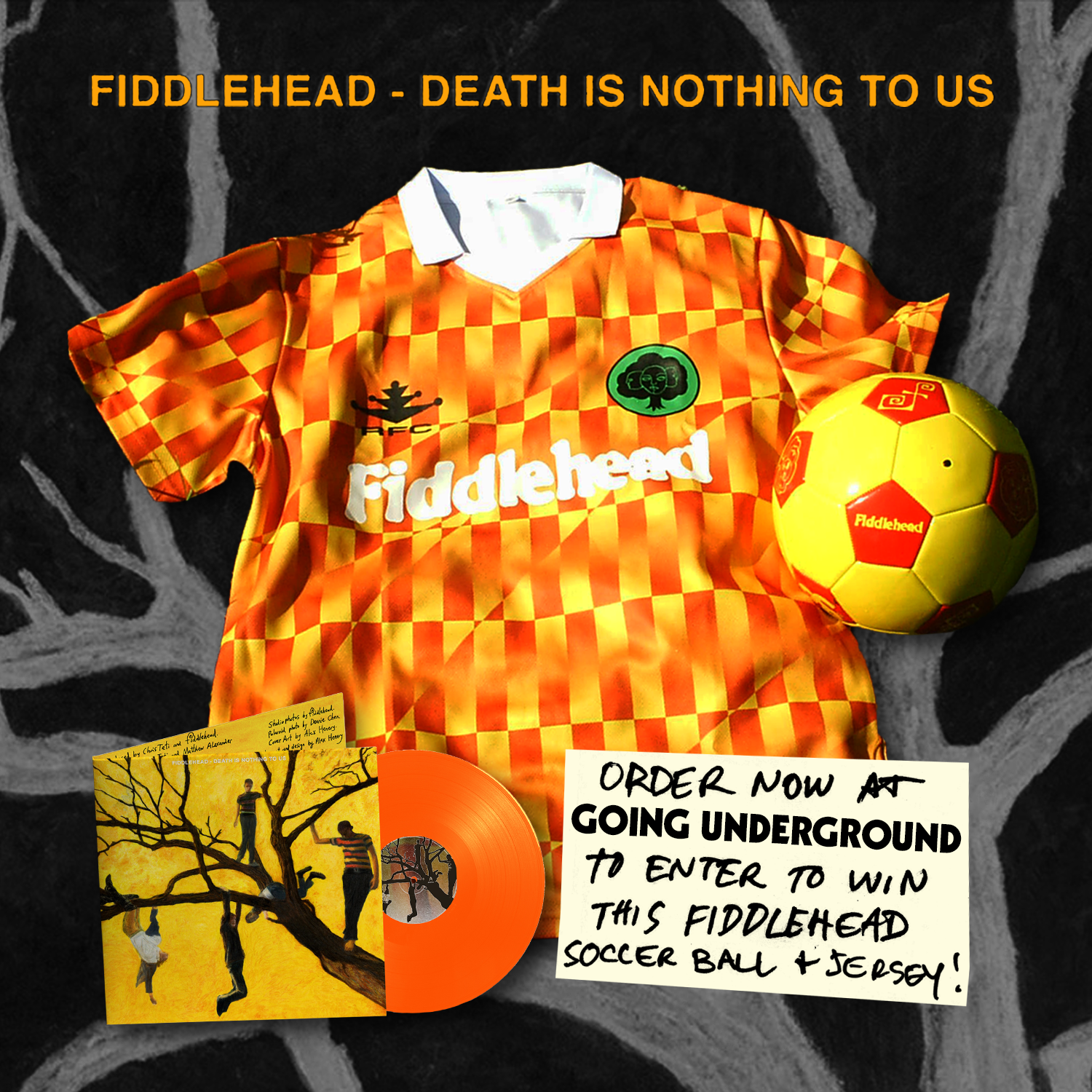 FIDDLEHEAD - DEATH IS NOTHING TO US Vinyl LP