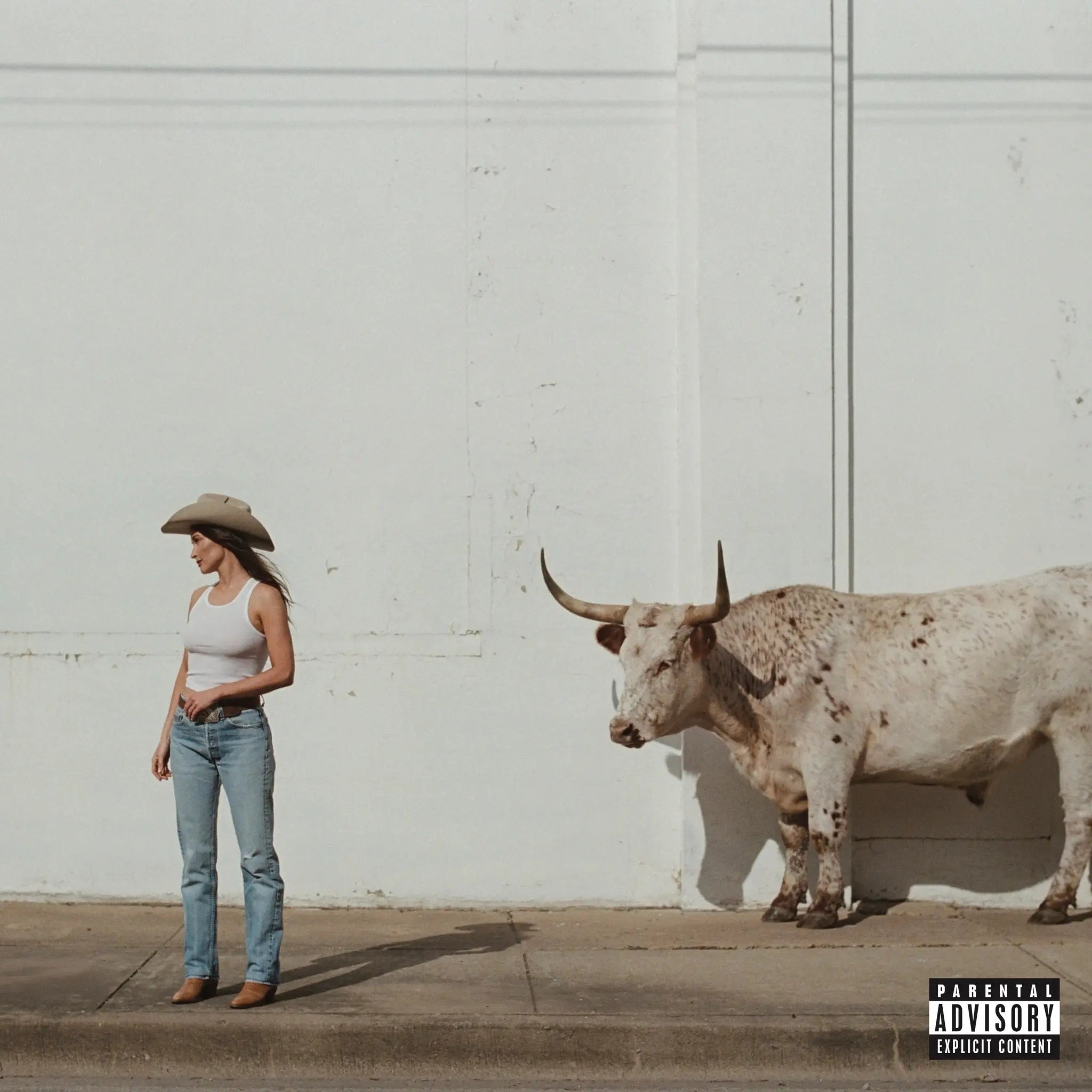 KACEY MUSGRAVES - MIDDLE OF NOWHERE