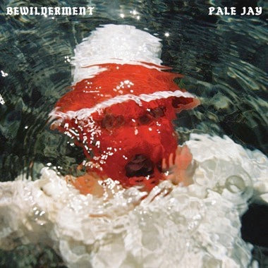 PALE JAY - BEWILDERMENT Vinyl LP