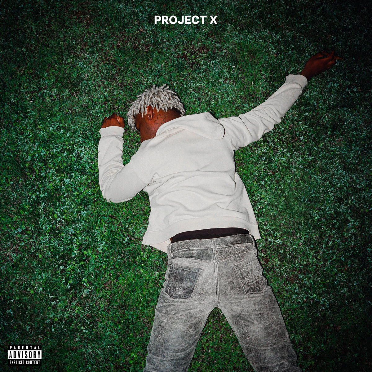 KEN CARSON - PROJECT X