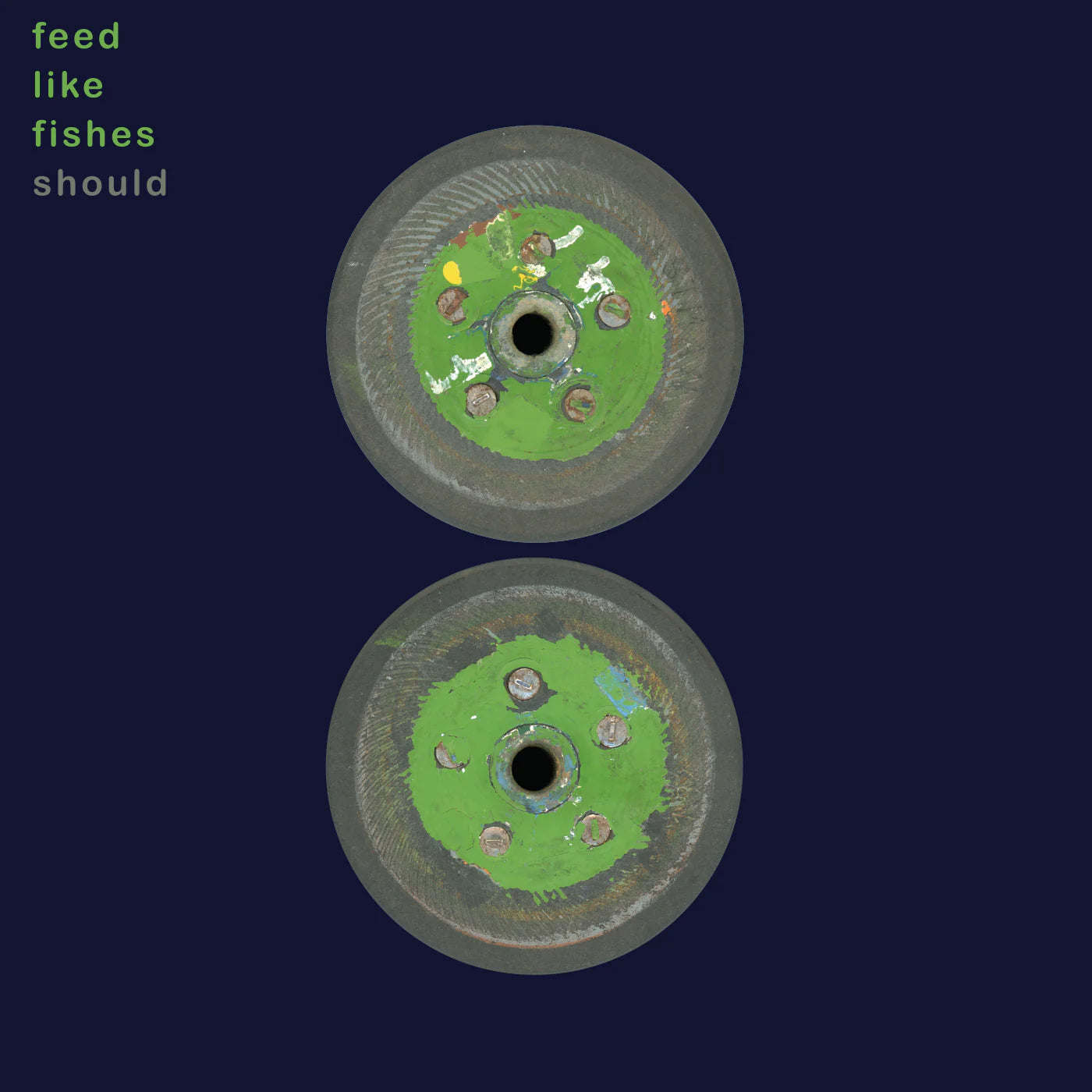 SHOULD - FEED LIKE FISHES