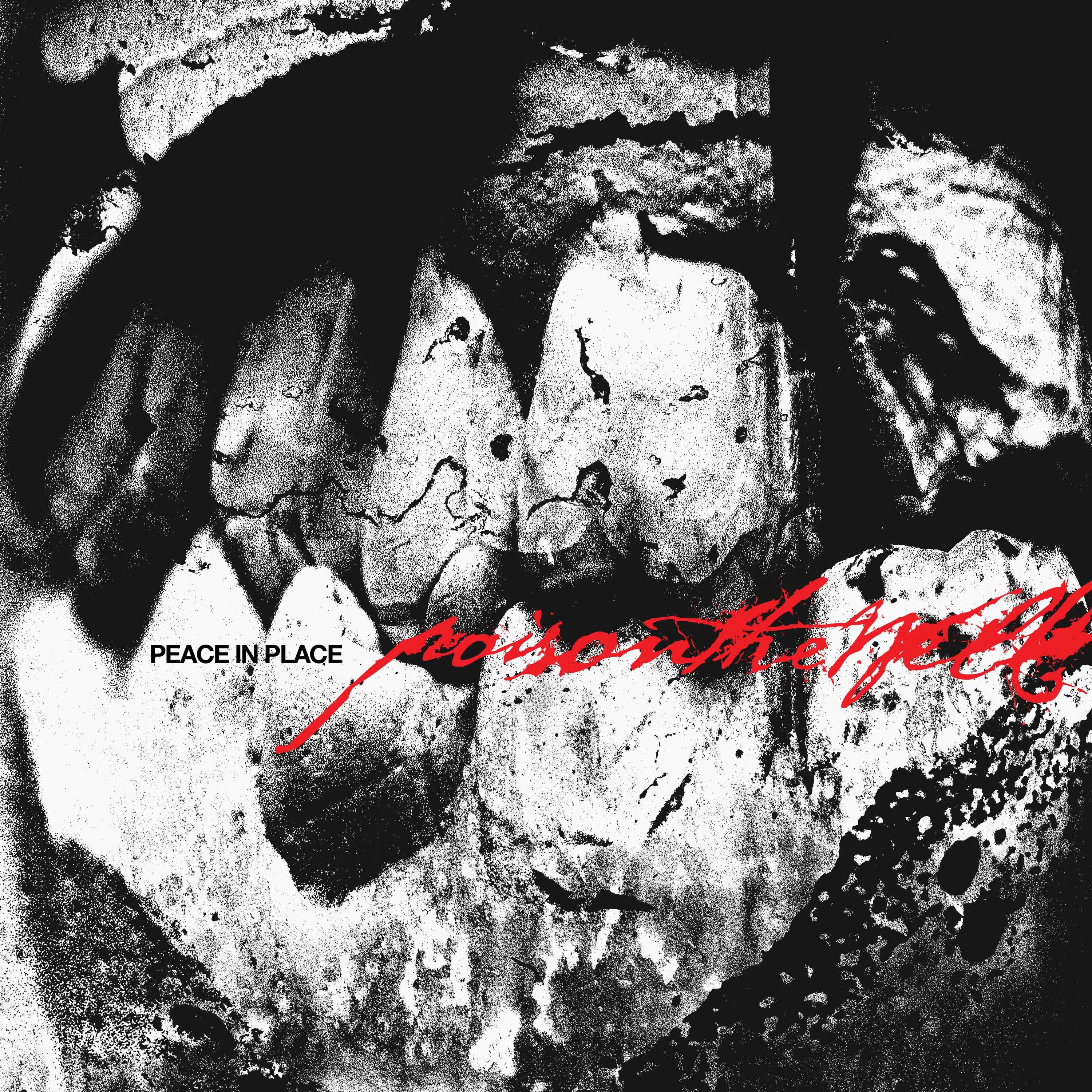 POISON THE WELL - PEACE IN PLACE