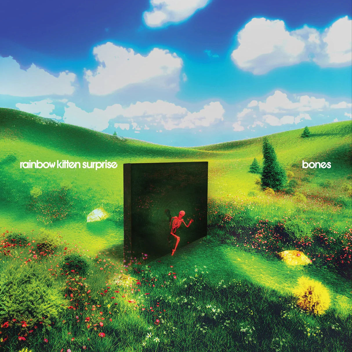 RAINBOW KITTEN SURPRISE - BONES