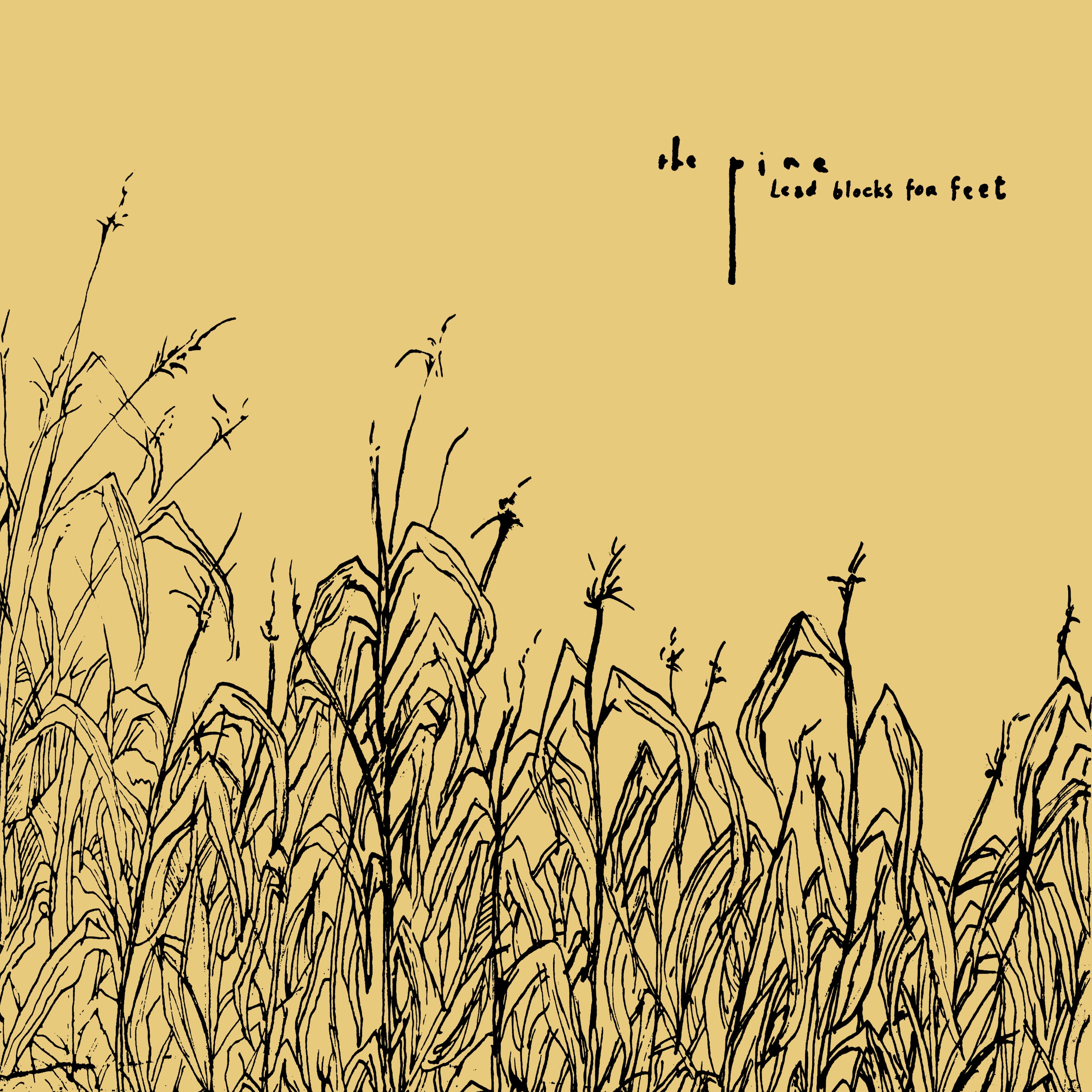 THE PINE - LEAD BLOCKS FOR FEET