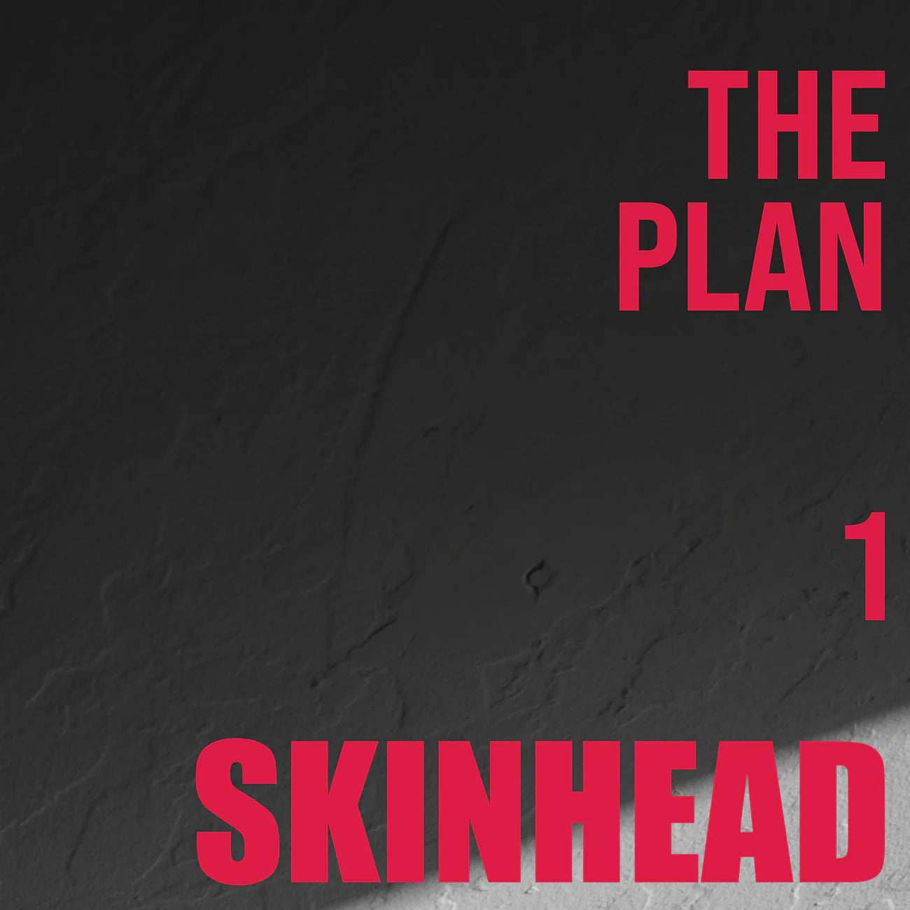 SKINHEAD - THE PLAN