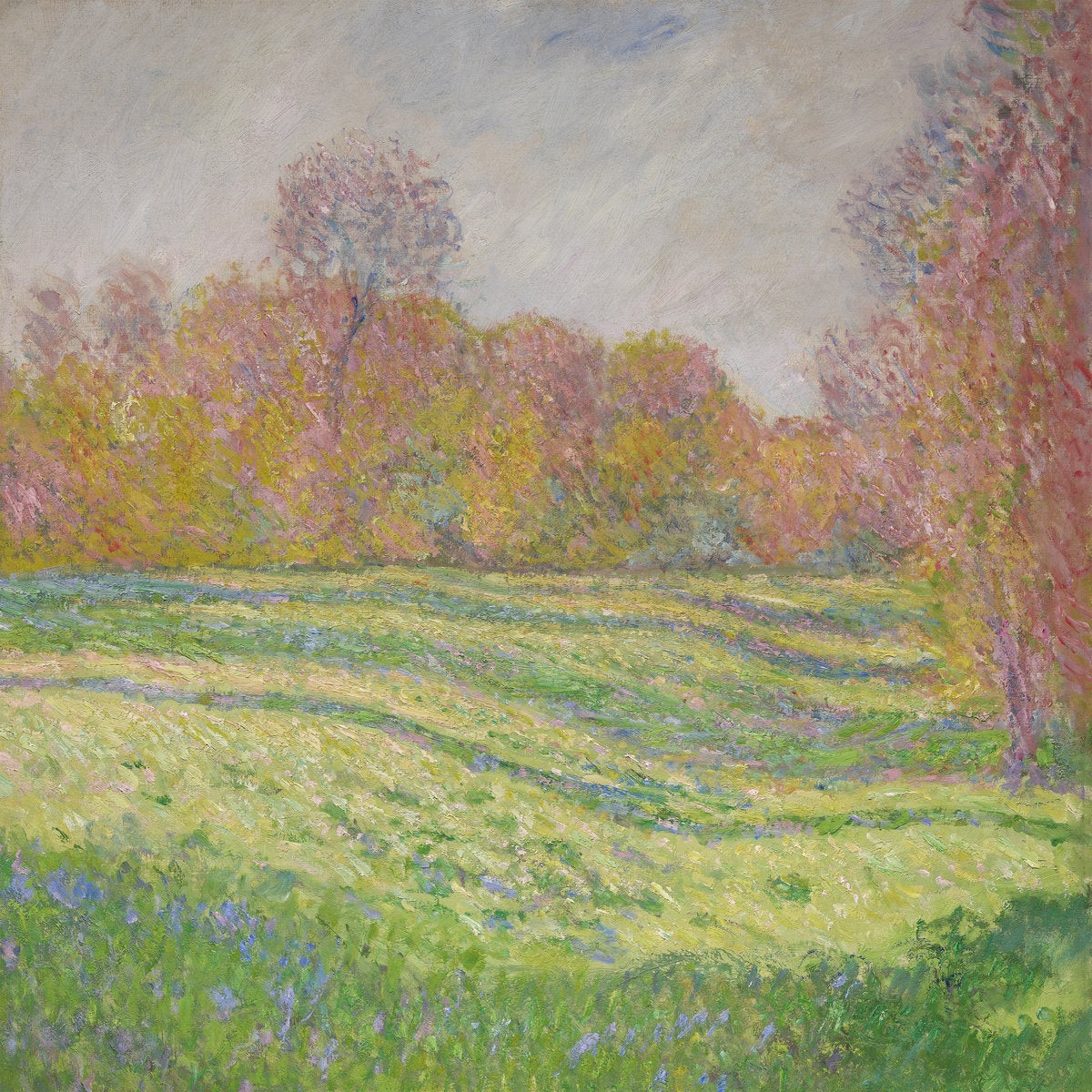 STRAWBERRY GUY - SUN OUTSIDE MY WINDOW