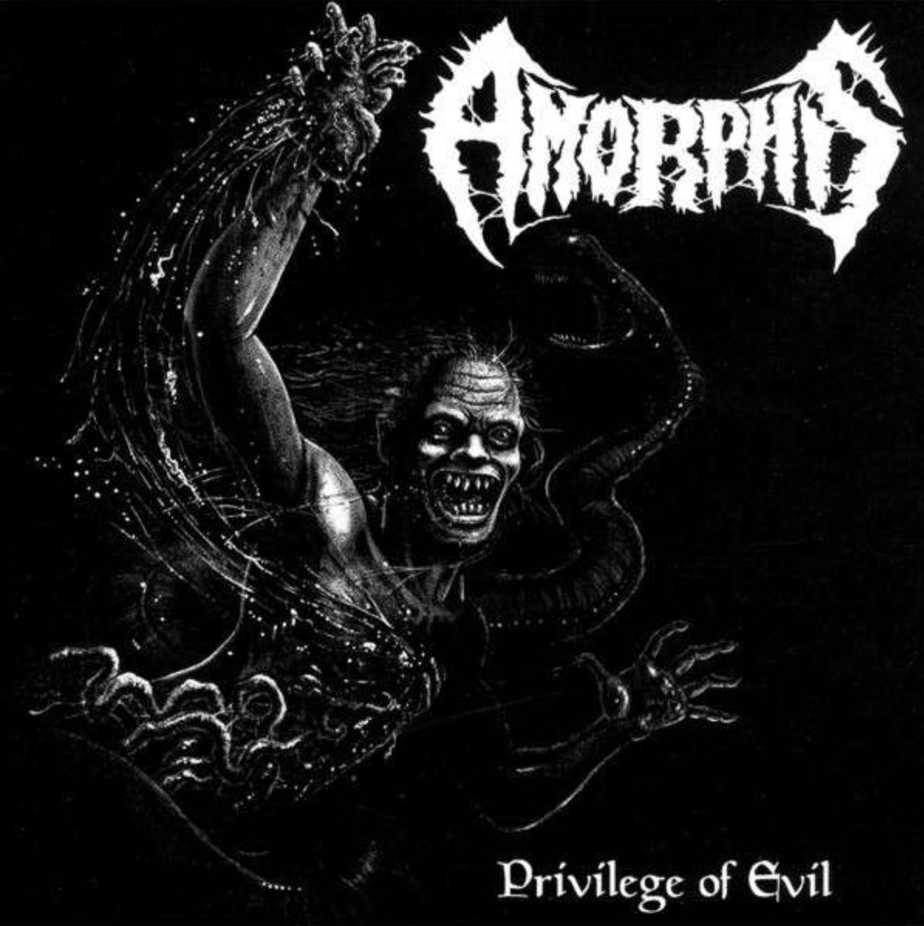 AMORPHIS - PRIVILEGE OF EVIL Vinyl LP