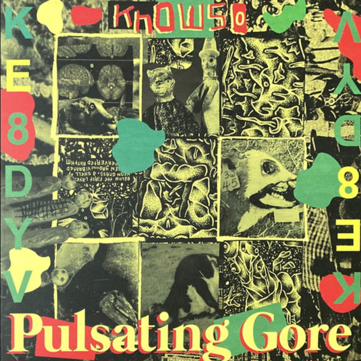 KNOWSO - PULSATING GORE Vinyl LP