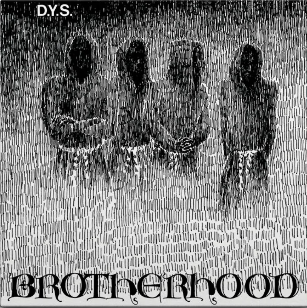 DYS - BROTHERHOOD Vinyl LP