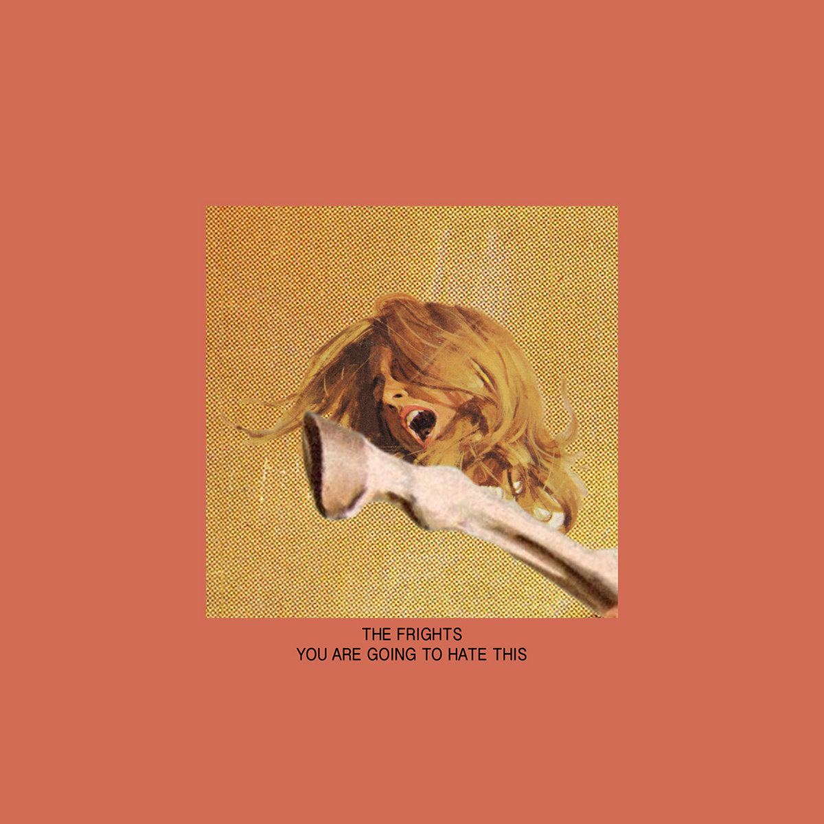 THE FRIGHTS - YOU ARE GOING TO HATE THIS