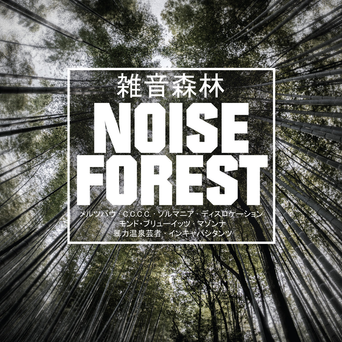 VARIOUS ARTISTS - NOISE FOREST