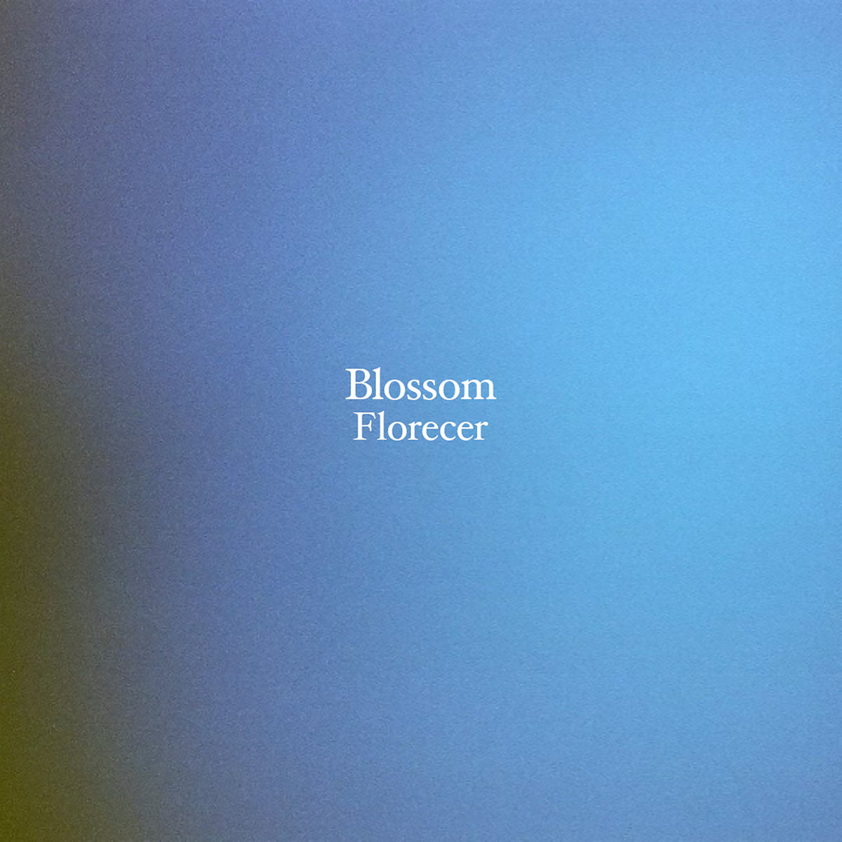 BLOSSOM - FLORECER