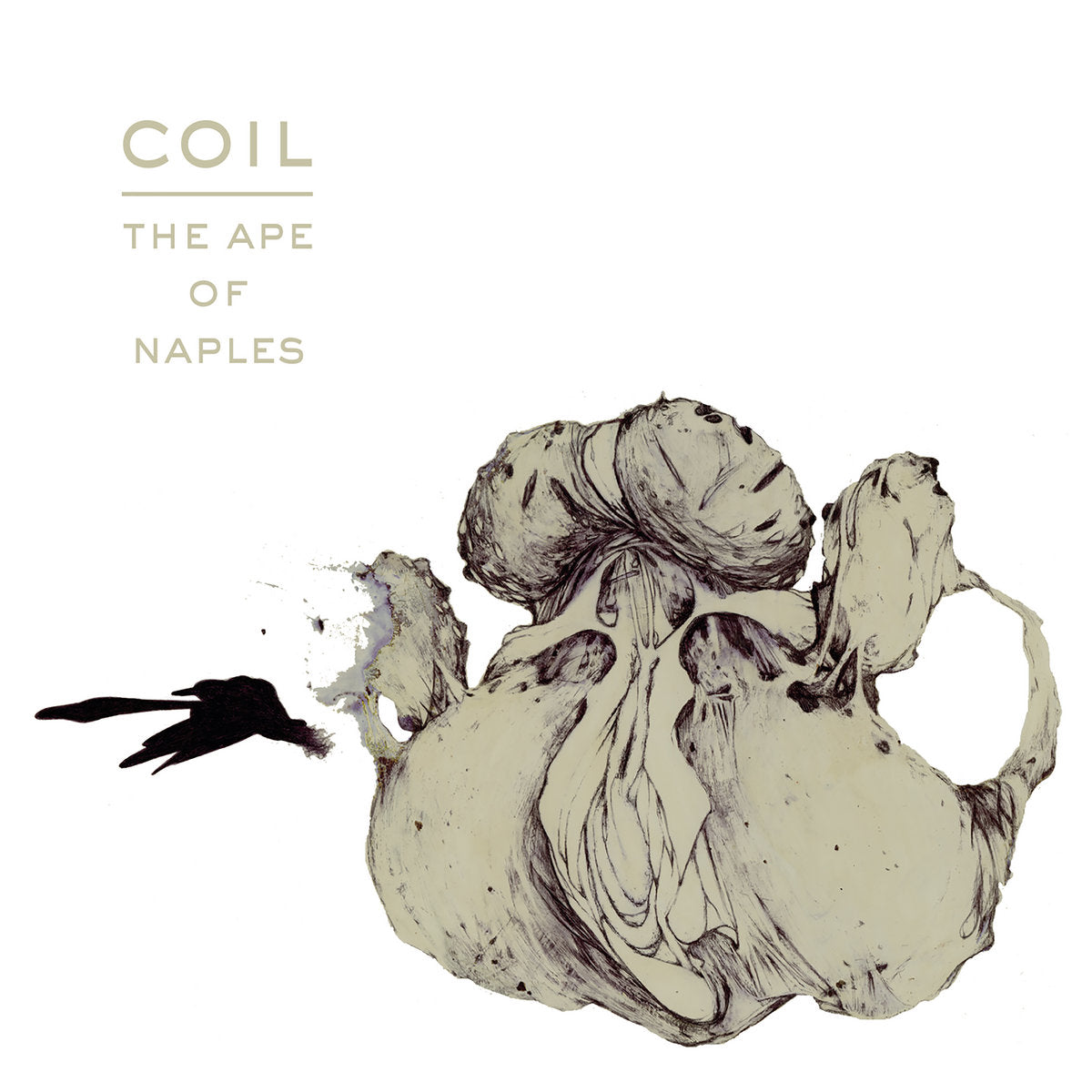 COIL - THE APE OF NAPLES