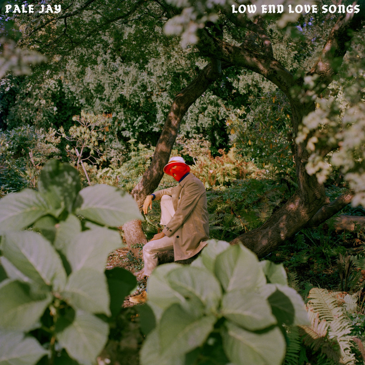 PALE JAY - LOW END LOVE SONGS Vinyl LP