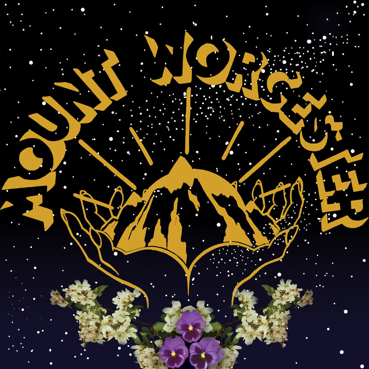 MOUNT WORCESTER - MOUNT WORCESTER Vinyl LP