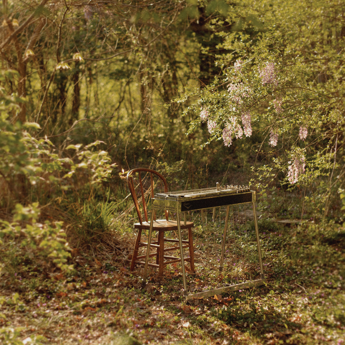 LUKE SCHNEIDER - FOR DANCING IN A QUIET LIGHT