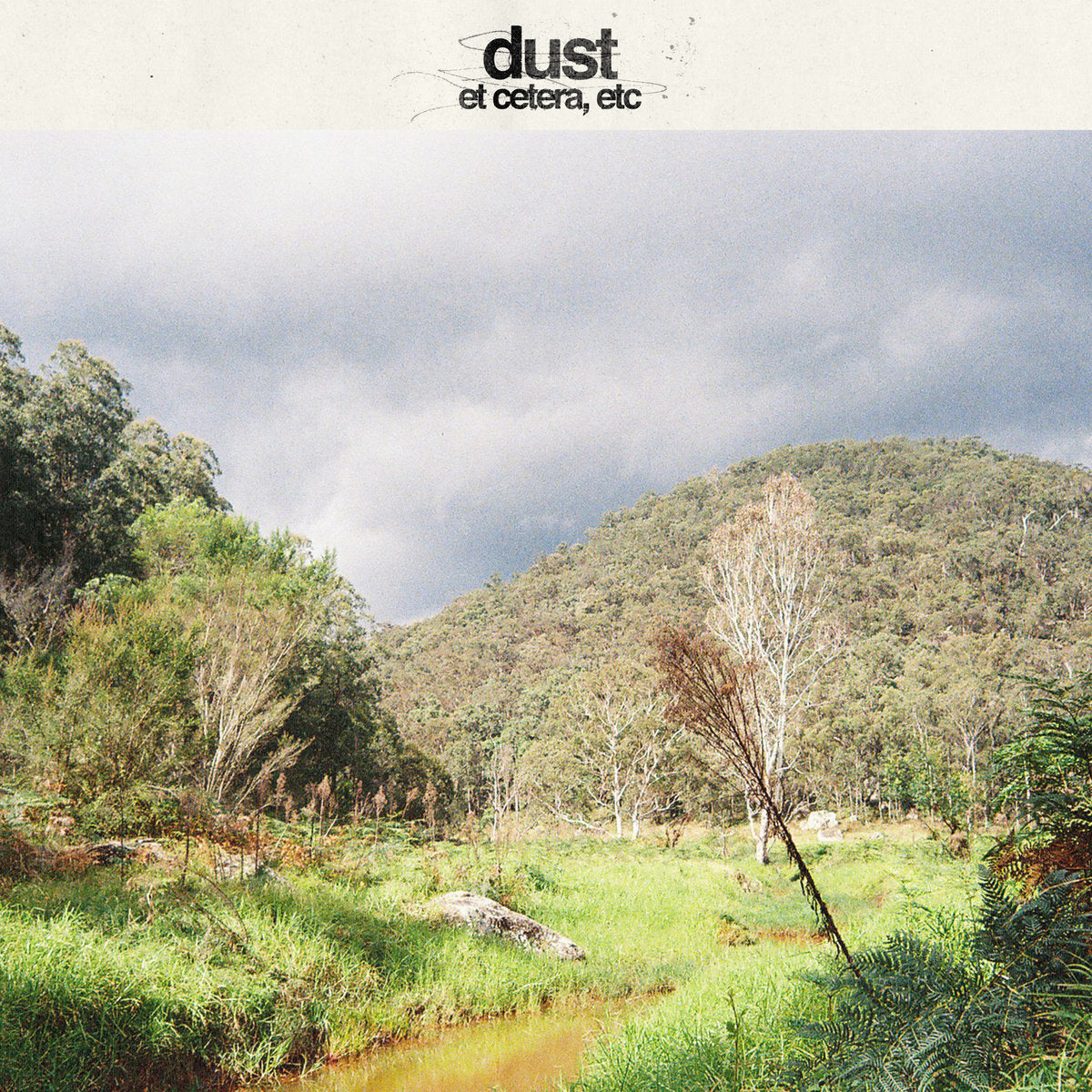 DUST - ET CETERA, ETC Vinyl 12" EP